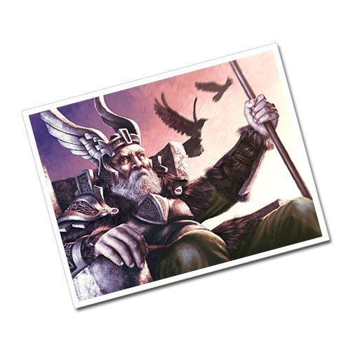 Norse God Odin Greeting Card Postcard