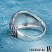 Vegvisir Ring Viking Norse Ring Urnes Style